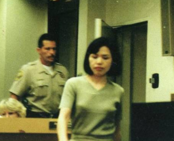 1993年，中国版辛普森案，台湾富商出轨大陆女子，被原配连刺18刀
