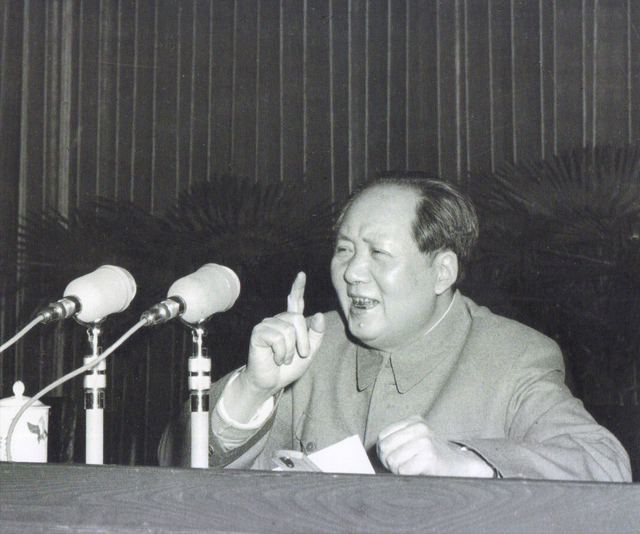 1975年施密特访华刁难毛主席，主席回答一句话，却成为欧美噩梦