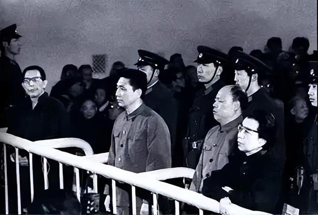96年姚文元出狱，却向组织提出2个大胆要求，直到死前只完成半个