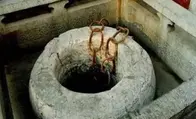北京有一口名叫锁龙井的井，吸引了专家过来研究，后发现一种东西