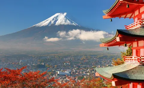 有位中国人烧了日本的靖国神社，后来在韩国被抓获，现在怎么样了