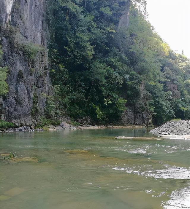 贵州惊现神秘水上墓葬，巨蛇守护不让人靠近，专家冒险揭密真相