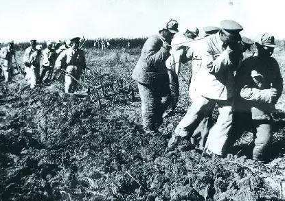 1950年，上将王震紧急进京向中央要10万女兵，究竟发生了什么事？