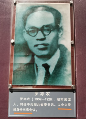 1928年，罗亦农被捕后女特工贺治华急报有叛徒，陈赓：她就是叛徒