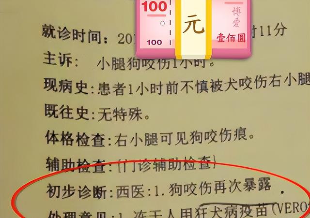 2022年，男子偶遇恶犬疯狂撕咬暴怒杀狗，却惨遭狗主人索赔3000元