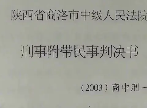 2016年，陕西法官当庭给一农妇道歉，揭开了一场判错13年的冤案