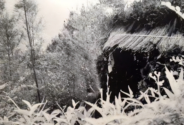 1985年，退休厅长来到沂蒙山区，见到哑老太跪地大哭：救命的娘啊