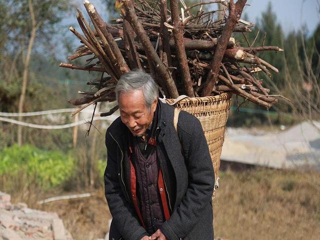 78岁老人坦言：请过保姆去过养老院后，才明白晚年最好的归宿在哪