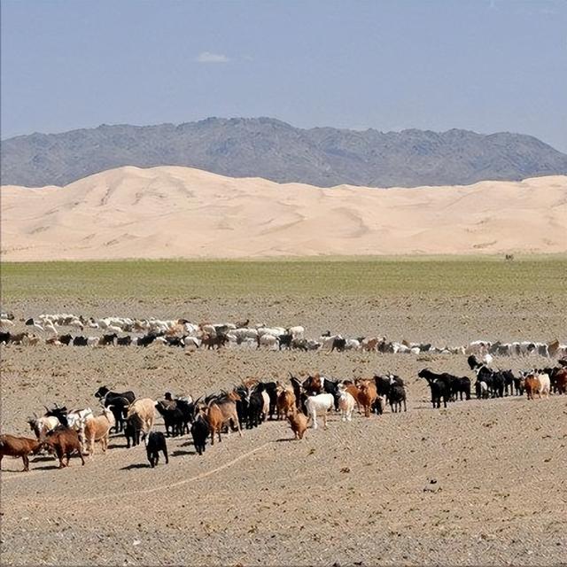 外蒙古混的到底有多惨？72%的土地荒漠化，全国仅有一条高速公路