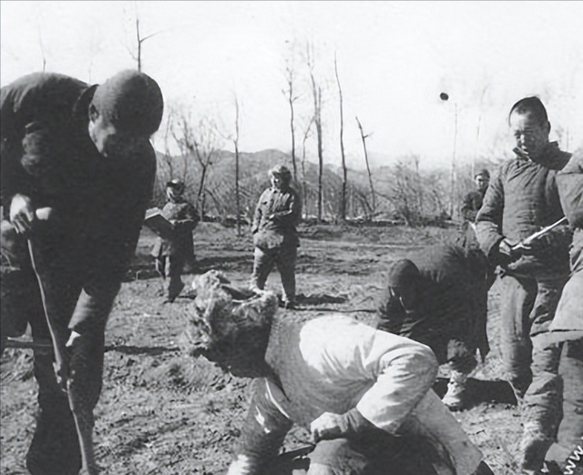 1958年，刘亚楼放言：空军我说了算！被捅到中央后毛主席作何反应