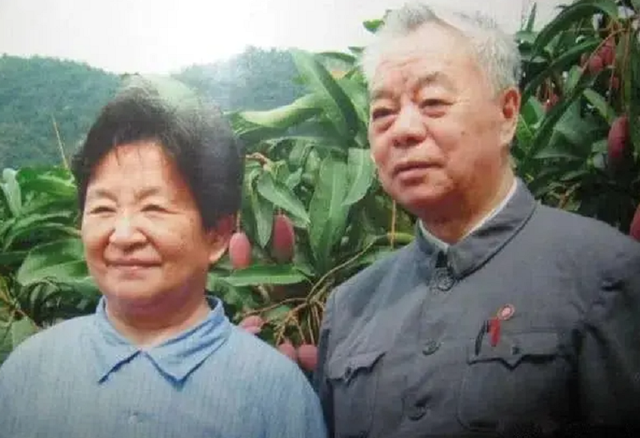 93年，干部发现酷似毛主席山头，李讷看后落泪：太像了