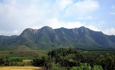 93年，干部发现酷似毛主席山头，李讷看后落泪：太像了