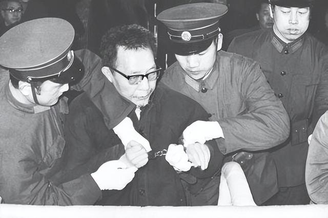 1976年，华主席借口到医院检查身体，秘密会见李先念：只谈几分钟
