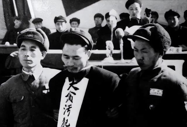 1952年刘青山因贪污被枪决，其子女长大后却要为父翻案，结局如何