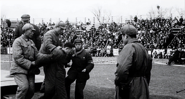 1952年刘青山因贪污被枪决，其子女长大后却要为父翻案，结局如何