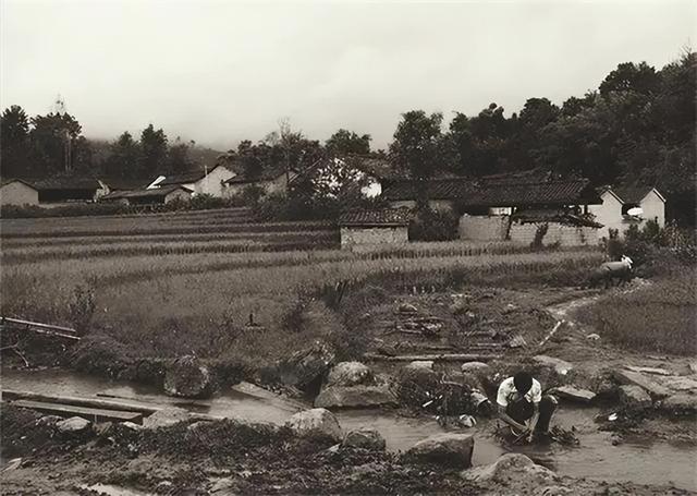 91年湖北地主出狱，写信给副主席王震：还记得我那1000担救命粮吗