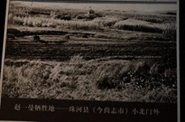 1960年，烈士赵一曼儿子写信讽刺毛主席，主席看后只回复了6个字